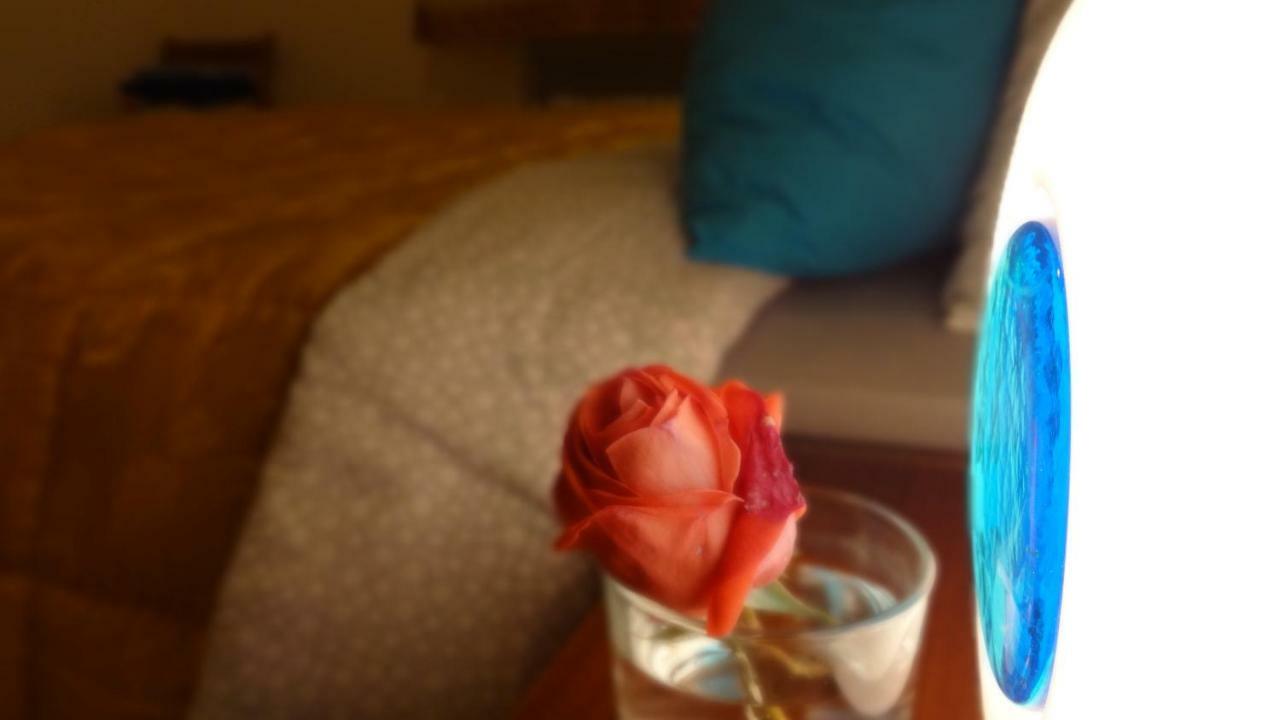 Livada Apartman Gorizia Kültér fotó