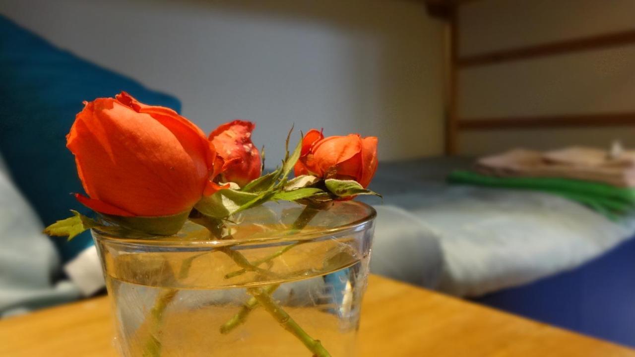 Livada Apartman Gorizia Kültér fotó